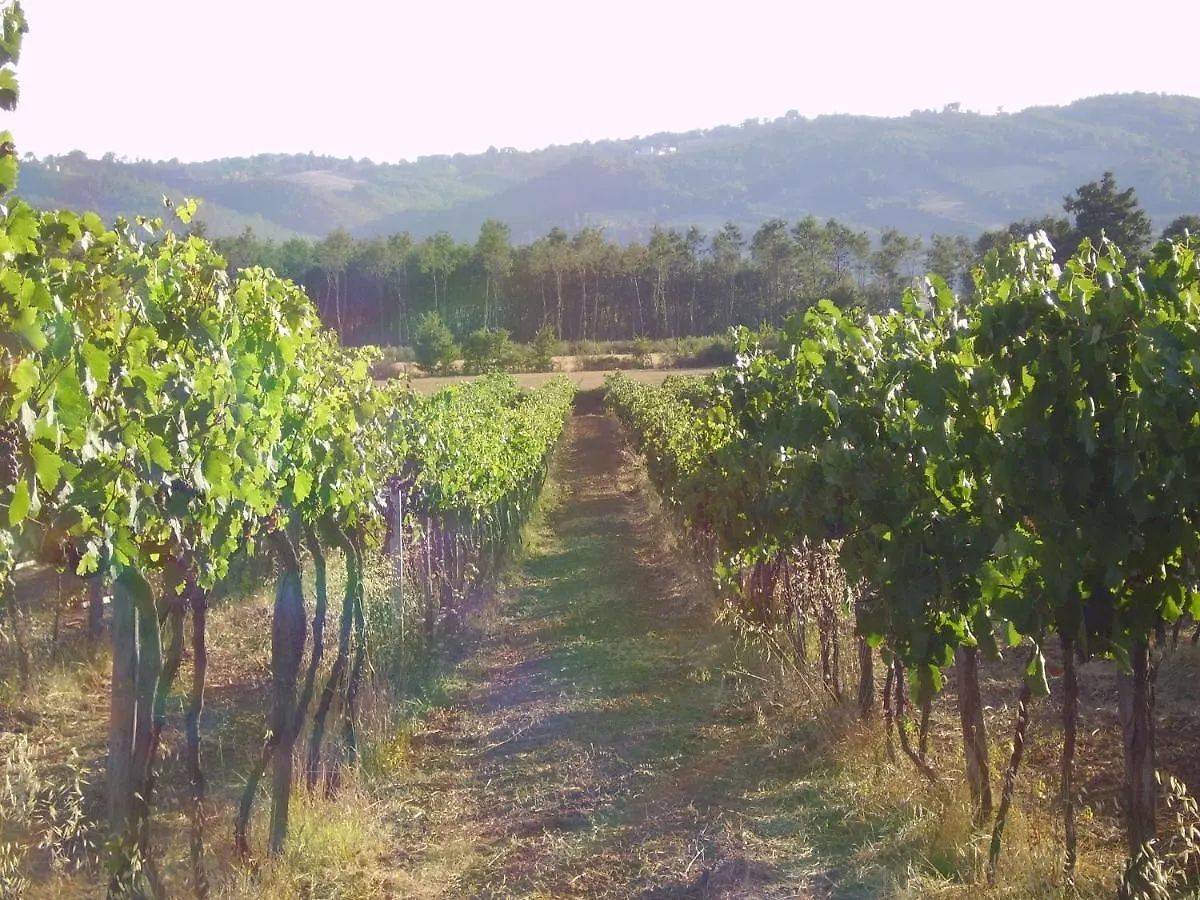 Agriturismo Santa Barbara Farm stay