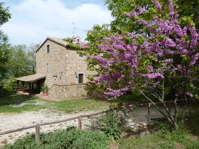 Agriturismo Santa Barbara Alloggio per agriturismo Sorano (Grosseto)