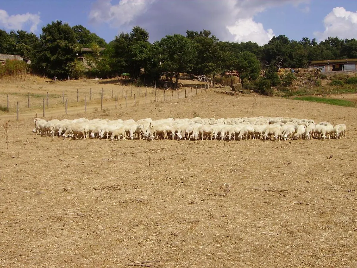 Agriturismo Santa Barbara